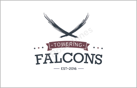 Towering Falcons