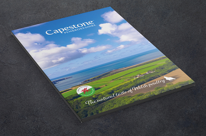 Capestone-Content-3.jpg